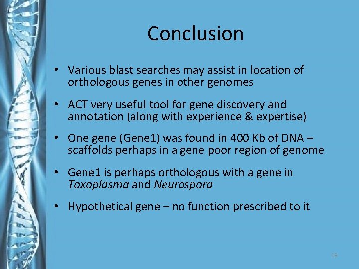 Conclusion • Various blast searches may assist in location of orthologous genes in other