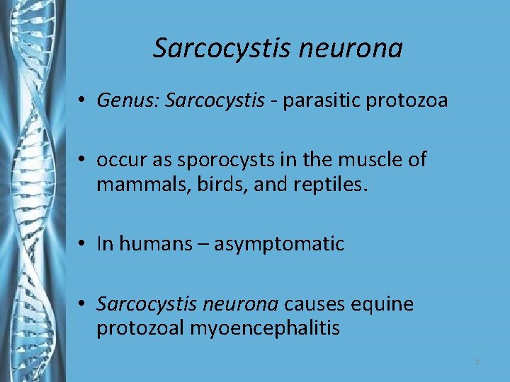 Sarcocystis neurona • Genus: Sarcocystis - parasitic protozoa • occur as sporocysts in the