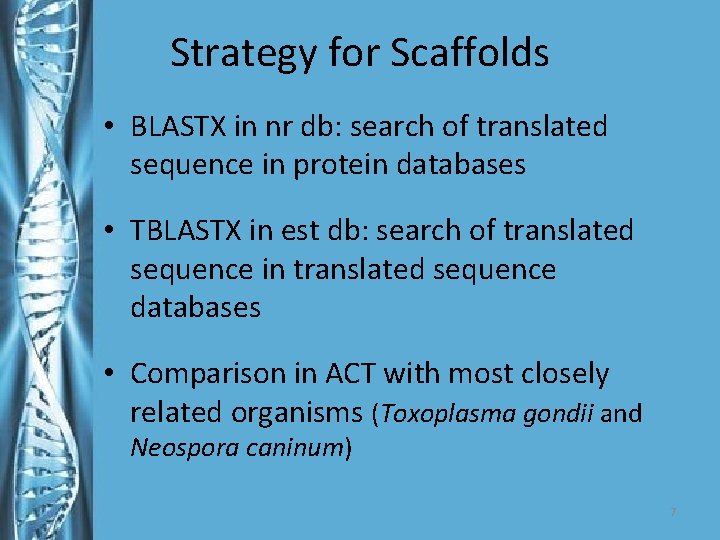 Strategy for Scaffolds • BLASTX in nr db: search of translated sequence in protein