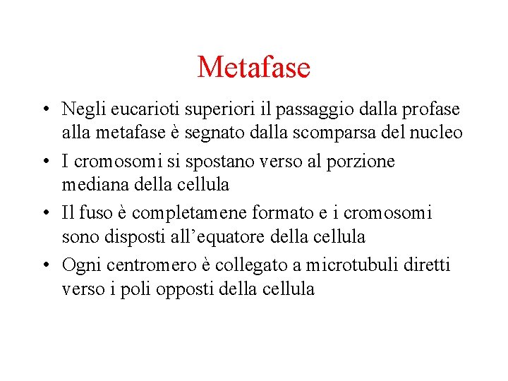 Metafase • Negli eucarioti superiori il passaggio dalla profase alla metafase è segnato dalla