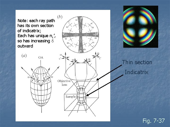 Note: each ray path has its own section of indicatrix; Each has unique ne’, Note: each ray path has its own section of indicatrix; Each has unique ne’,