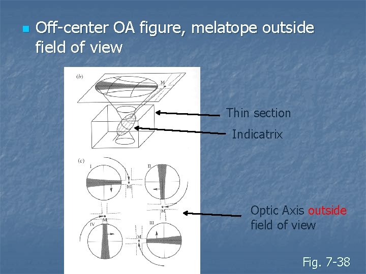 n Off-center OA figure, melatope outside field of view Thin section Indicatrix Optic Axis n Off-center OA figure, melatope outside field of view Thin section Indicatrix Optic Axis