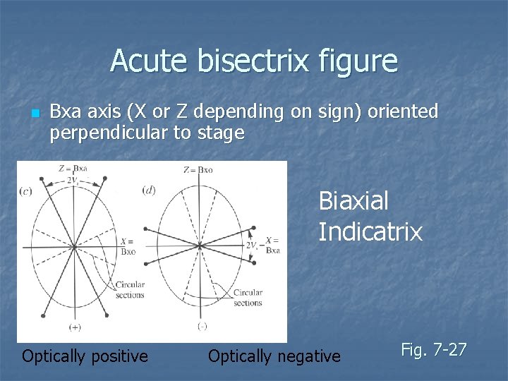 Acute bisectrix figure n Bxa axis (X or Z depending on sign) oriented perpendicular Acute bisectrix figure n Bxa axis (X or Z depending on sign) oriented perpendicular