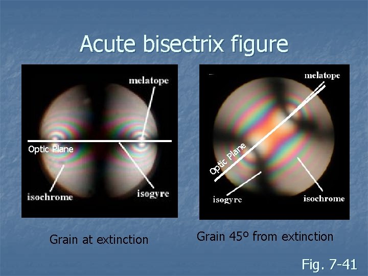 Acute bisectrix figure Optic Plane tic p O Grain at extinction e n la Acute bisectrix figure Optic Plane tic p O Grain at extinction e n la