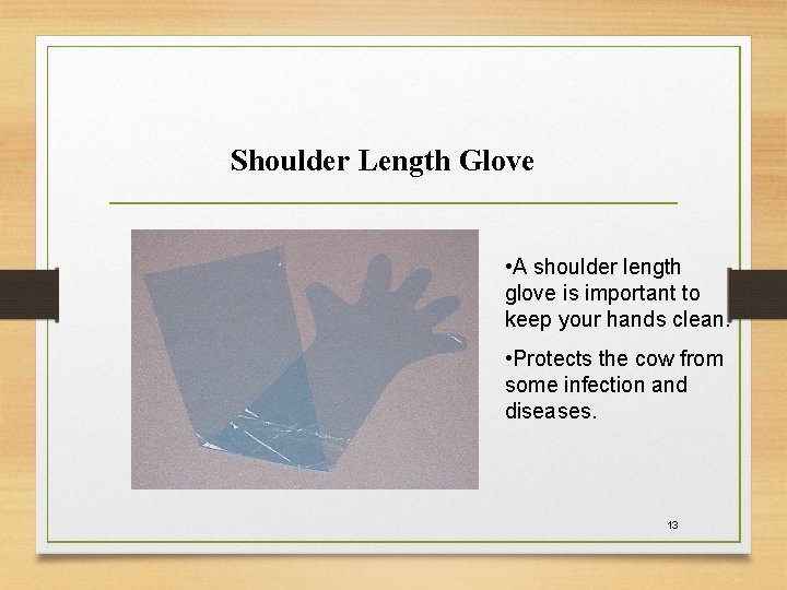 Shoulder Length Glove • A shoulder length glove is important to keep your hands