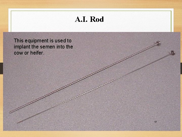 A. I. Rod This equipment is used to implant the semen into the cow