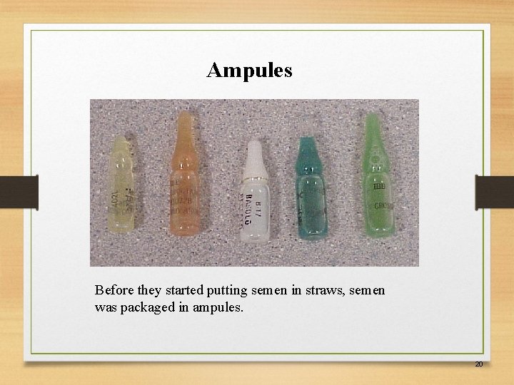 Ampules Before they started putting semen in straws, semen was packaged in ampules. 20