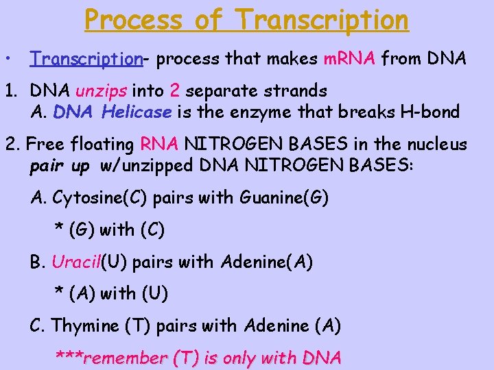 Process of Transcription • Transcription- process that makes m. RNA from DNA 1. DNA