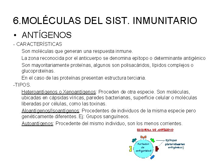 6. MOLÉCULAS DEL SIST. INMUNITARIO • ANTÍGENOS - CARACTERÍSTICAS Son moléculas que generan una