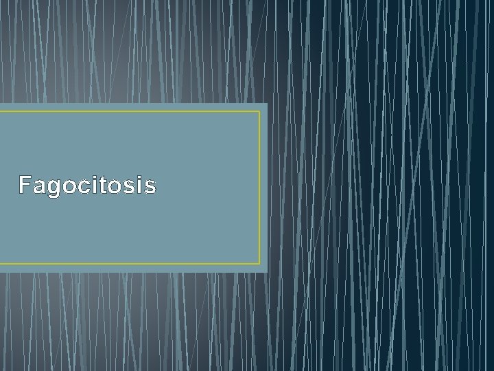Fagocitosis 