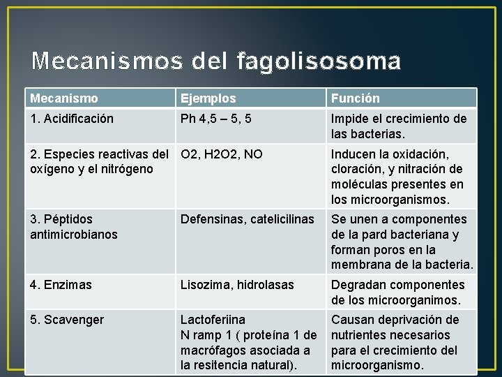 Mecanismos del fagolisosoma Mecanismo Ejemplos Función 1. Acidificación Ph 4, 5 – 5, 5