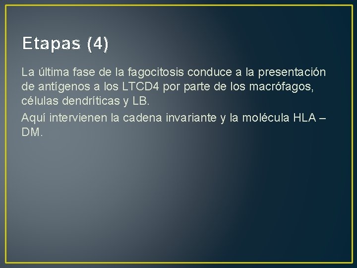 Etapas (4) La última fase de la fagocitosis conduce a la presentación de antígenos