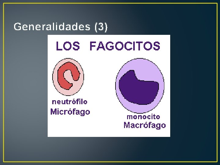 Generalidades (3) 