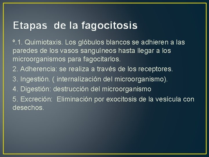 Etapas de la fagocitosis º. 1. Quimiotaxis. Los glóbulos blancos se adhieren a las