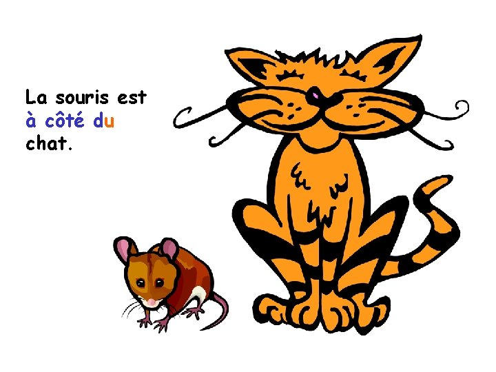 La souris est à côté du chat. 