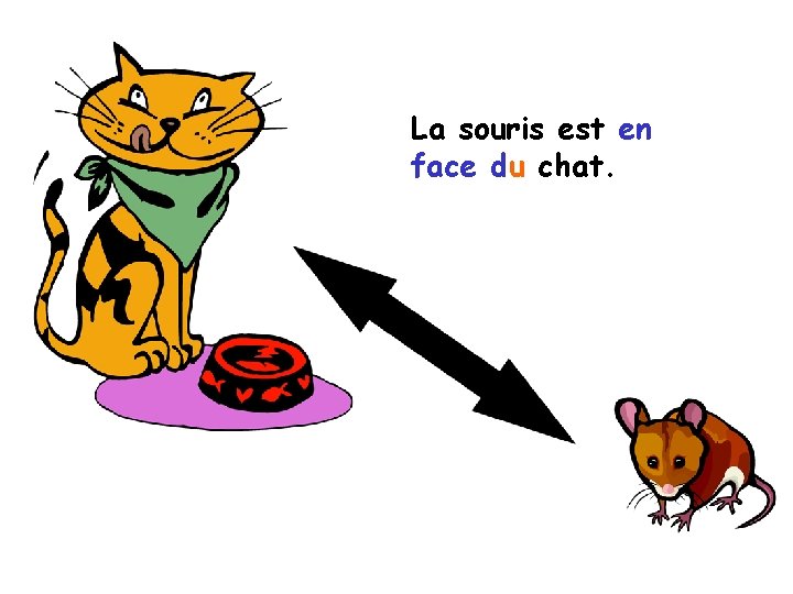 La souris est en face du chat. 