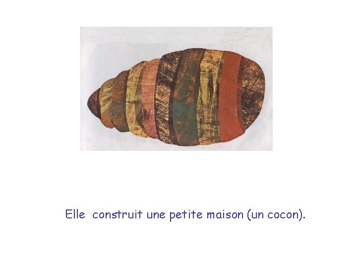 She built a small house, called a cocoon. Elle construit une petite maison (un