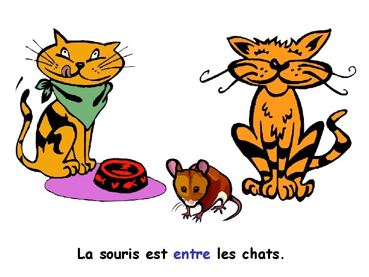 La souris est entre les chats. 