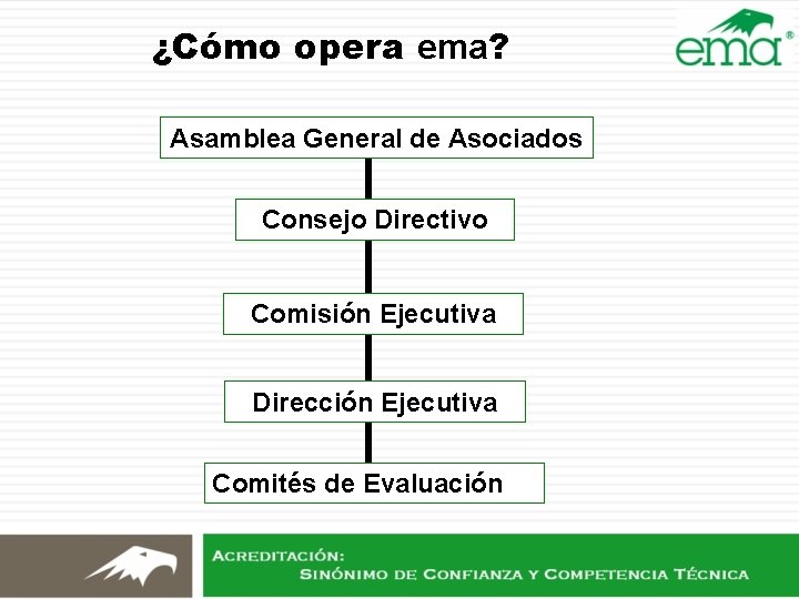 ¿Cómo opera ema? Asamblea General de Asociados Consejo Directivo Comisión Ejecutiva Dirección Ejecutiva Comités ¿Cómo opera ema? Asamblea General de Asociados Consejo Directivo Comisión Ejecutiva Dirección Ejecutiva Comités