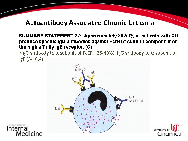 Autoantibody Associated Chronic Urticaria SUMMARY STATEMENT 22: Approximately 30 -50% of patients with CU Autoantibody Associated Chronic Urticaria SUMMARY STATEMENT 22: Approximately 30 -50% of patients with CU