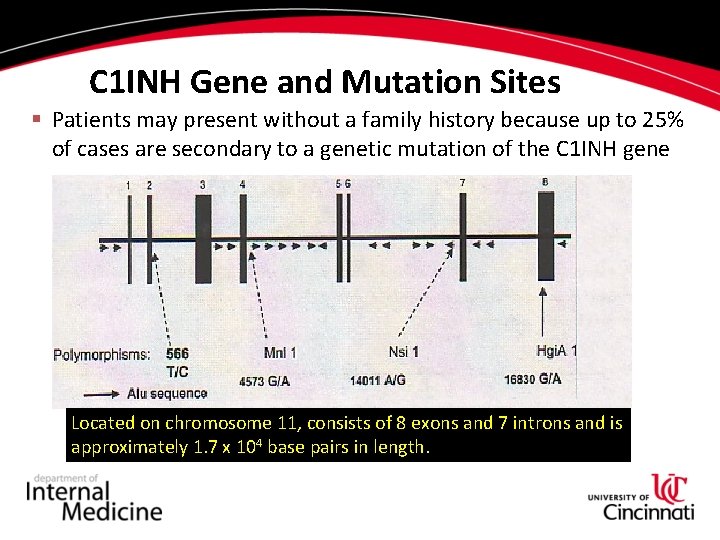 C 1 INH Gene and Mutation Sites § Patients may present without a family C 1 INH Gene and Mutation Sites § Patients may present without a family