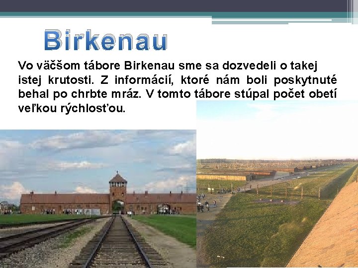 Birkenau Vo väčšom tábore Birkenau sme sa dozvedeli o takej istej krutosti. Z informácií,