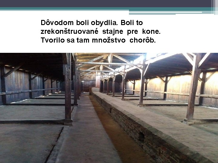 Dôvodom boli obydlia. Boli to zrekonštruované stajne pre kone. Tvorilo sa tam množstvo chorôb.
