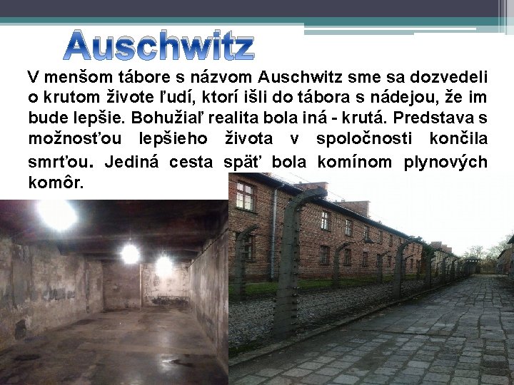 Auschwitz V menšom tábore s názvom Auschwitz sme sa dozvedeli o krutom živote ľudí,