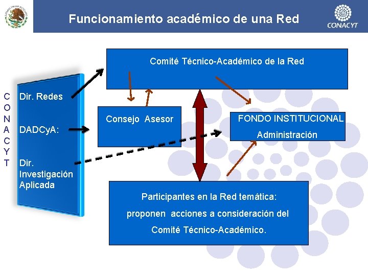 Funcionamiento académico de una Red Comité Técnico-Académico de la Red C Dir. Redes O