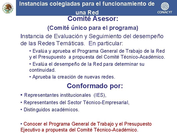 Instancias colegiadas para el funcionamiento de una Red Comité Asesor: (Comité único para el