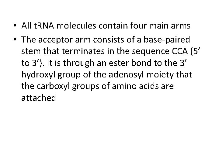  • All t. RNA molecules contain four main arms • The acceptor arm