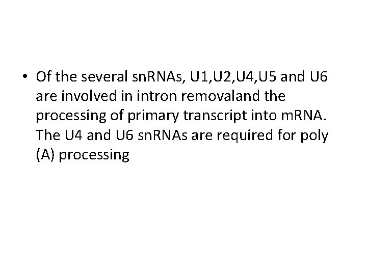  • Of the several sn. RNAs, U 1, U 2, U 4, U
