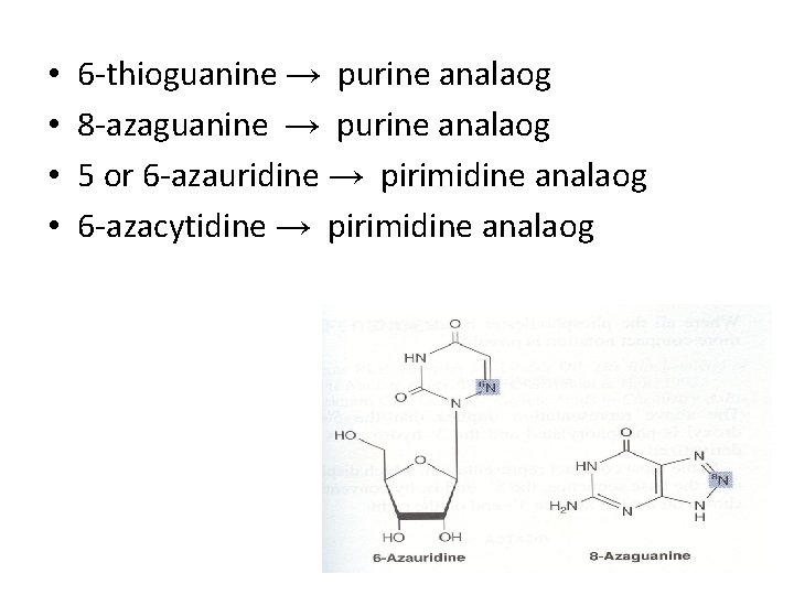  • • 6 -thioguanine → purine analaog 8 -azaguanine → purine analaog 5