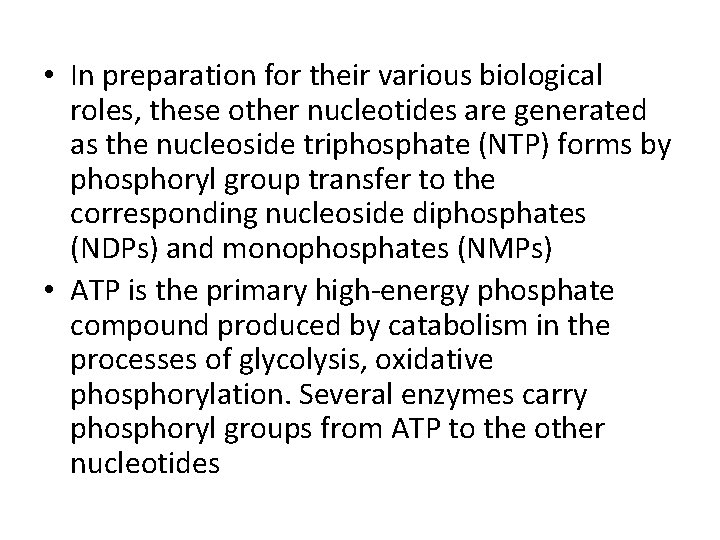  • In preparation for their various biological roles, these other nucleotides are generated
