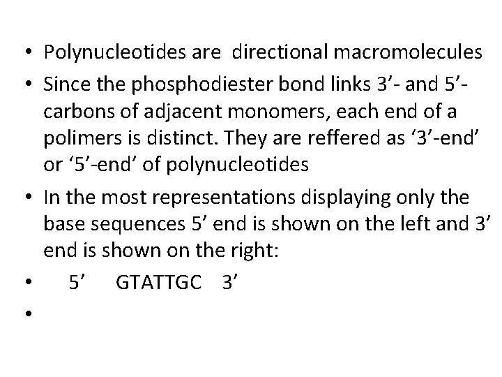  • Polynucleotides are directional macromolecules • Since the phosphodiester bond links 3’- and