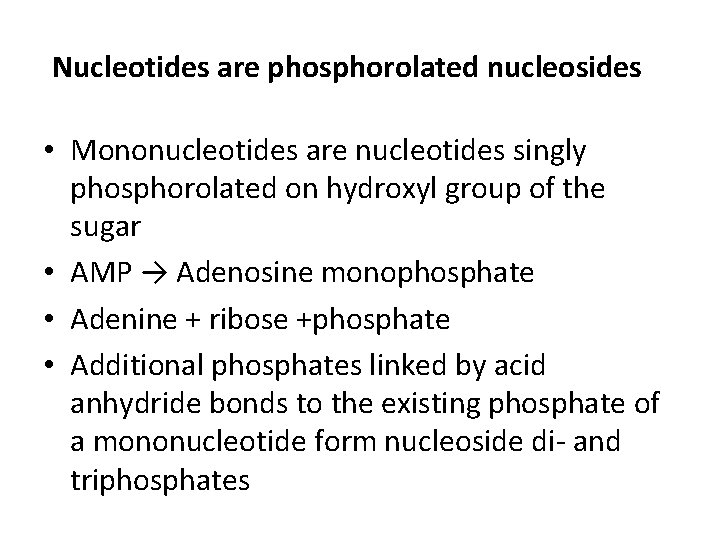 Nucleotides are phosphorolated nucleosides • Mononucleotides are nucleotides singly phosphorolated on hydroxyl group of