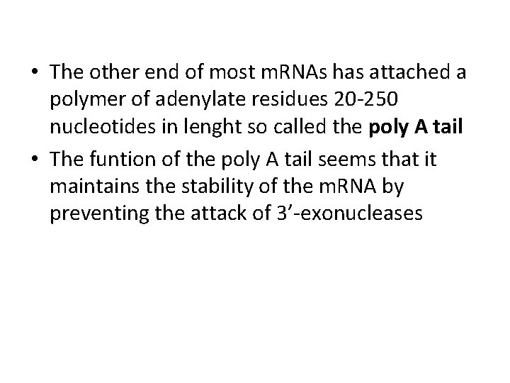  • The other end of most m. RNAs has attached a polymer of