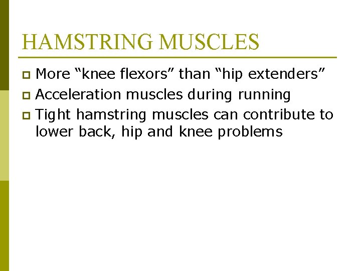 HAMSTRING MUSCLES More “knee flexors” than “hip extenders” p Acceleration muscles during running p