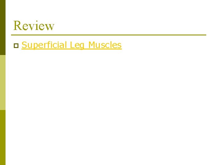 Review p Superficial Leg Muscles 