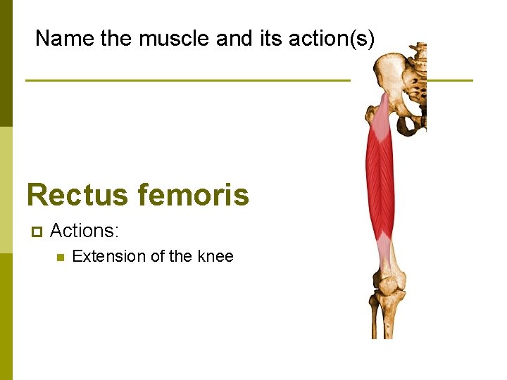 Name the muscle and its action(s) Rectus femoris p Actions: n Extension of the