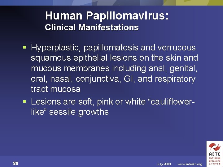 Human Papillomavirus: Clinical Manifestations § Hyperplastic, papillomatosis and verrucous squamous epithelial lesions on the