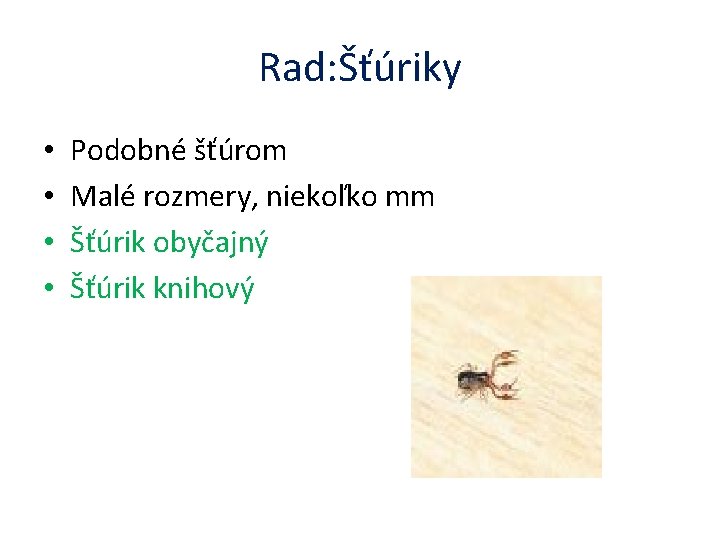 Rad: Šťúriky • • Podobné šťúrom Malé rozmery, niekoľko mm Šťúrik obyčajný Šťúrik knihový