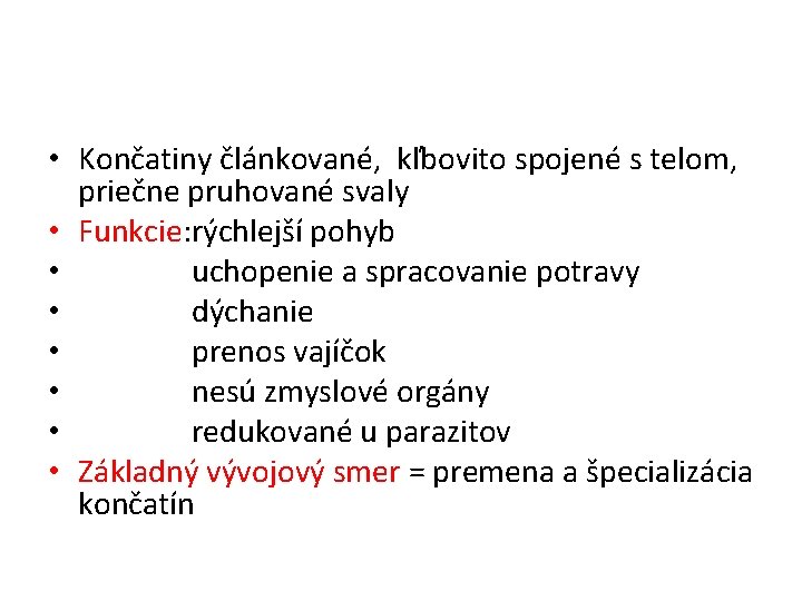  • Končatiny článkované, kľbovito spojené s telom, priečne pruhované svaly • Funkcie: rýchlejší