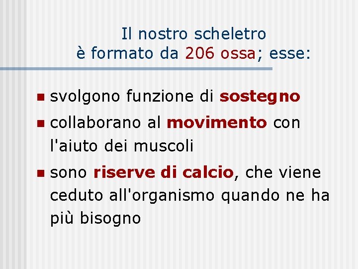 Il nostro scheletro è formato da 206 ossa; esse: n svolgono funzione di sostegno