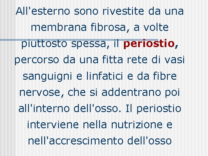 All'esterno sono rivestite da una membrana fibrosa, a volte piuttosto spessa, il periostio, percorso