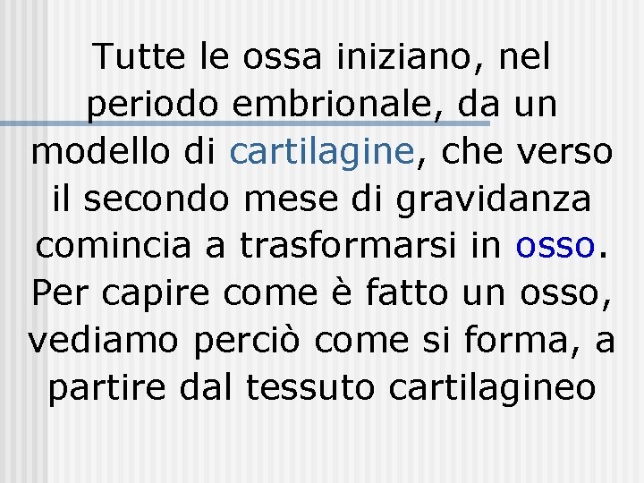 Tutte le ossa iniziano, nel periodo embrionale, da un modello di cartilagine, che verso