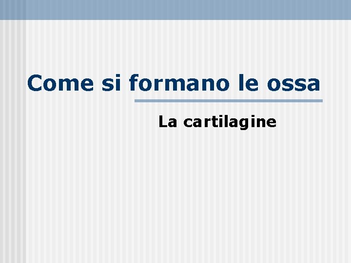 Come si formano le ossa La cartilagine 