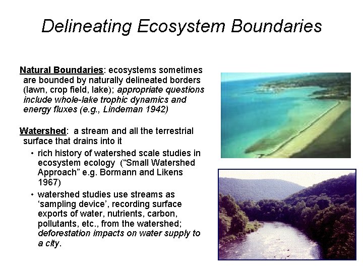 Delineating Ecosystem Boundaries Natural Boundaries: ecosystems sometimes are bounded by naturally delineated borders (lawn,