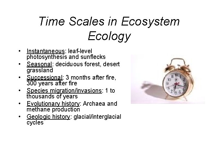 Time Scales in Ecosystem Ecology • Instantaneous: leaf-level photosynthesis and sunflecks • Seasonal: deciduous