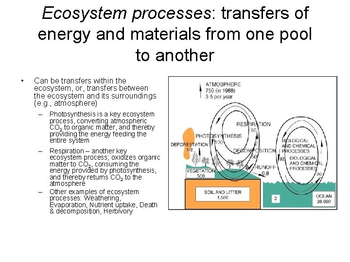 Ecosystem processes: transfers of energy and materials from one pool to another • Can